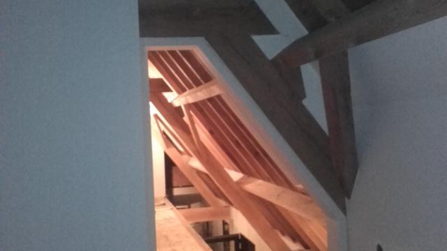 B&d design wingene